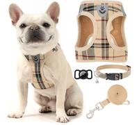 EXPAWLORER - Juego de Correa y arnés a Cuadros para Perro pequeño, Soporte para AirTag, Chaleco Suave Acolchado de Puesta sin enganches, sin tirones, Perros medianos, Reflectante, pasear, Caqui, M