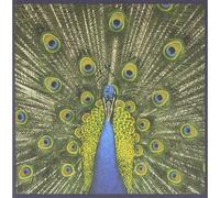 The Bluetones - Expecting To Fly