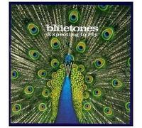 Expecting to Fly Import Edition by Bluetones (1996) Audio CD