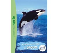 Expédition au pays des orques: 19