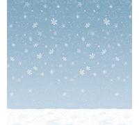 Expedition Norway Winter Sky Plastic Backdrop 4' X 30'