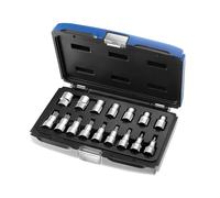 Expert 1.3cm Drive Vaso Torx Juego 16 Piezas Varón Y Mujer BRIE032907B