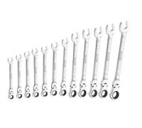 Expert Juego de Llaves de Vaso Flexible de 12 Piezas
