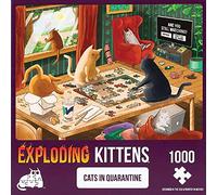 Exploding Kittens Jigsaw Puzzles for Adults - Cats in Quarantine - 1000 Piece Jigsaw Puzzles For Family Fun Game Night, PQUAR-1K-6