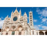 Explora Florencia: Niño / City Pass con bus Hop On Hop Off / 1 día