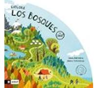 Explora Los Bosques En 360º