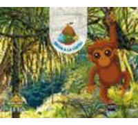 Explora Selva A La Vista Infantil 4 Años 2 Tm Comunidad Valencian A