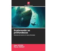 Explorando as profundezas: Sistemas de sonar em mares fechados