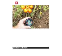 Explorar as respostas adaptativas do tomateiro: Cultivadas sob stress térmico