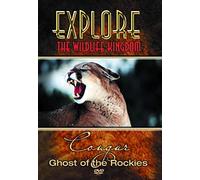 Explore The Wildlife Kingdom - Cougar Ghost Of The Rockies [Edizione: Stati Uniti] [USA] [DVD]