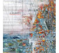 Explosions in the Sky The Wilderness (Vinyl) 12" Album