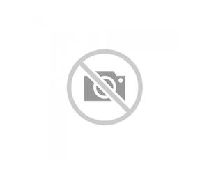 Expositor abysse harry potter navidad promo fit