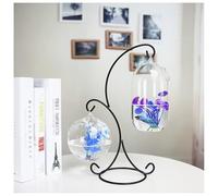 Expositor Colgante De Hierro En Forma De S, Pecera PequeñA De Vidrio Transparente, Ideal para Decoraciones NavideñAs Y De Bodas.-Transparent
