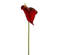 Express Flor 4 anthuriuns Artificiales, de 74cm Rojo