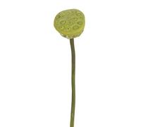 Express Flor 4 Flor de Lotus en semilla Artificial de 54cm Verde