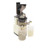 Exprimidor de verduras y frutas de 400 ml con válvula antifugas, 60-80 RPM, exprimidor lento 500 W, máquina exprimidora de acero inoxidable, exprimidor de doble canal, 21 x 14 x 40 cm (blanco)