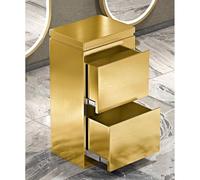 exproyzk Estación de salón de Belleza, Acero Inoxidable, Organizador de Herramientas de peluquería, Armario de Almacenamiento para salón de Belleza, SPA, barbería y Tatuaje(Gold,78x40x30cm)
