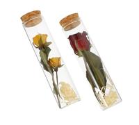EXQUIMEUBLE 2Piezas Botellas de Flores Secas Mini Botellas de Vidrio con Corcho para Mensajes Ocultos Decoración para Hogar y Oficina Especial con Rosa