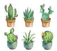 Exquisitas Pegatinas de Pared de Plantas en Macetas y Cactus - Decoración para Familias y Jardines de Infancia (Verde)