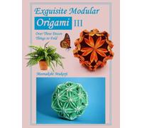 Exquisite Modular Origami III