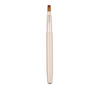 Exquisito aplicador profesional de brochas de labios retráctil, herramienta de maquillaje brillante para mujeres y niñas, soporte desechable