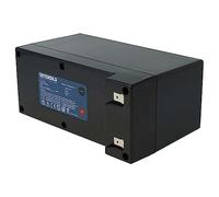 EXTENSILO Batería Compatible con Ambrogio L100 Deluxe, L100, Blacktech 2.0, L 20, L100 Evolution, L200 cortacésped 9000mAh 25,2V Li-Ion