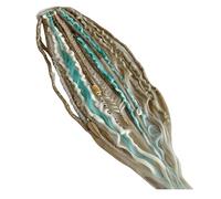 Extensiones de pelo de cola de caballo elástica con rastas, estilo boho con cuentas, fácil de poner en un minuto con una banda elástica, ligera, disponible en varios colores (verde)