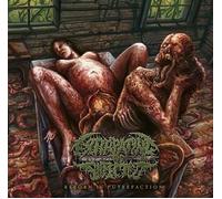 Extirpating The Infected - Reborn In Putrefaction