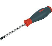 EXTOL PREMIUM Destornillador TORX, T 40 x 150 mm, CrV