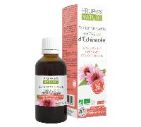 Extracto de equinácea fresca orgánica para aromaterapia Propos' Nature, 50 ml.