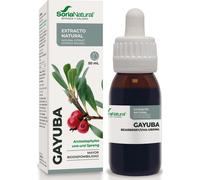 Soria Natural - Extracto de Gayuba S.XXI - Antiséptico natural urinario y diurético - 50 ml
