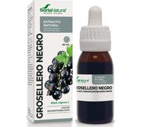 Soria Natural Extracto de Grosellero Negro S XXI – Antihistamínico y antiinflamatorio – 50 ml