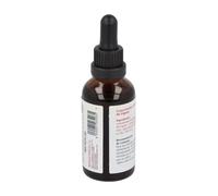 Extracto Liquen Plantis 50 Ml de Artesania