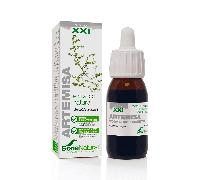 Extracto Natural de Artemisia 50ml Soria Natural