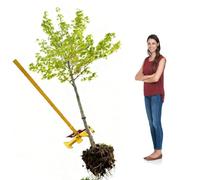 Extractor de estacas para nieve de alta resistencia, herramienta de palanca para extraer tocones, abrazadera ajustable, arranca completamente tallos leñosos, removedor de tocones de árboles