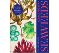 extraordinary seaweeds