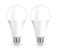 EXTRASTAR Bombillas LED 22W E27 A80, Luz Cálida 3000K, 2500Lm, No regulable, 2Pcs