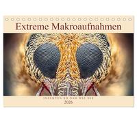 Extreme Makroaufnahmen - Insekten so nah wie nie (Tischkalender 2026 DIN A5 quer), CALVENDO Monatskalender: Erleben Sie Fliegen, Ameisen und andere Insekten in erstaunlicher Vergrößerung!