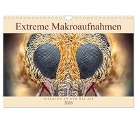 Extreme Makroaufnahmen - Insekten so nah wie nie (Wandkalender 2026 DIN A4 quer), CALVENDO Monatskalender: Erleben Sie Fliegen, Ameisen und andere Insekten in erstaunlicher Vergrößerung!