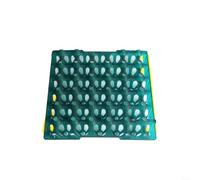EXTRWORY Caja de huevos de plástico con capacidad para 30 huevos, para huevos de aves de corral, rojo, azul, amarillo, verde, 285 x 285 x 5 cm, para uso comercial doméstico