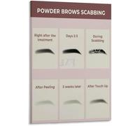 Eyebrow Pigment Healing Chart Powder Brow Studio Decor | Visual guide to color settling after scabbing(Magnetic,08x12inch(20x30cm))
