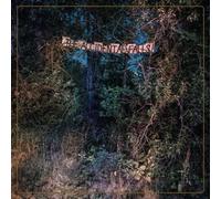 Eyelids The Accidental Falls (CD) Album (Importación USA)