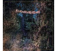 Eyelids,the - The Accidental Falls (LP) [Vinilo]