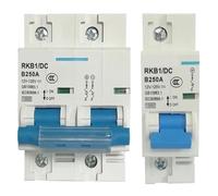 EYJOUTXGG Disyuntor de CC 1P 2P, 12 V, 24 V, 36 V, 48 V, 60 V, 72 V, 96 V, 120 V, Celdas solares, Interruptor de batería de RV, 100 A, 125 A, 150 A, 200 A, 250 A(2P,63A)