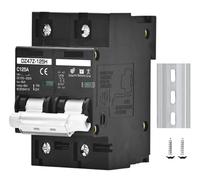 EYJOUTXGG Disyuntor de Voltaje 2P 100A 125A 150A CC 100V 150V 250V 500V 1000V Curva C Panel Solar Batería Protección contra Cortocircuitos(2P DC100-250V,100A)