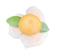 EYRMQWJPC Bolsillo de Espuma Juego de 100 Fundas de Red de Espuma for Frutas, for Manzanas y Fresas, protección a Prueba de Golpes, Bolsa de Red de Espuma, Bolsillo.(22x7cm)