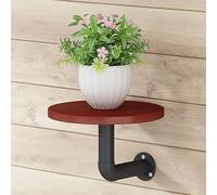 EYTVYUWPT Estante De Pared Redondo Moderno - Estantes De Pared De Hierro Que Ahorran Espacio For Plantas Y Decoración, 20x10cm, Organizador De Almacenamiento Multicolor(Teak Black Shelf)