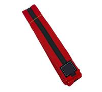 EYZJQSTUV Cinturón de Karate para Artes Marciales, Cinturón Karate Taekwondo Multicolor 160-280cm(Color 6,160)