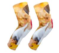 EZIOLY Jack Russell Terrier Rodilleras de baloncesto, fútbol, voleibol, panal de abeja, rodillera, protector acolchado para hombres y mujeres