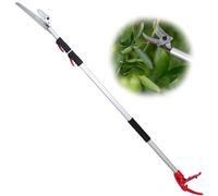 Ezkamfort Podadora de árboles, 140 cm-300 cm, telescópica de largo alcance, resistente, con cuchillas de repuesto, ideal para quitar ramas altas y recoger frutas